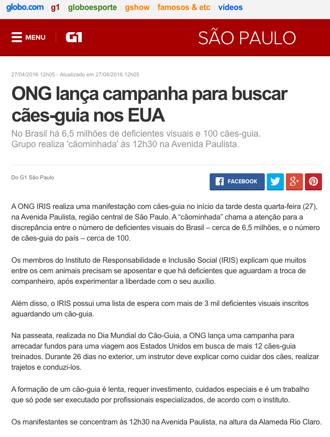 Imagem 2016 - ONG lança campanha para buscar cão-guia nos EUA