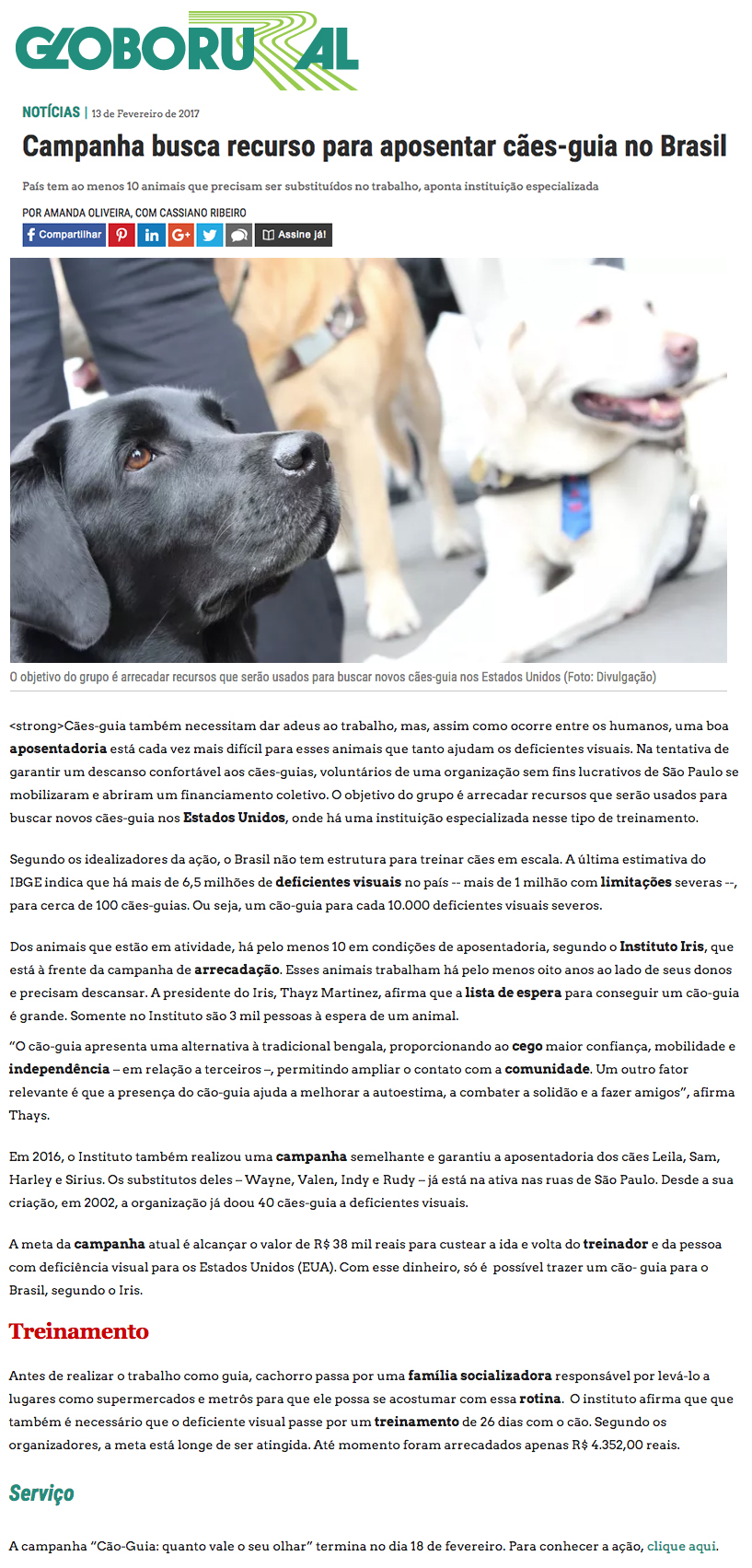 Imagem 2017 - Campanha busca recurso para aposentar cães-guia no Brasil