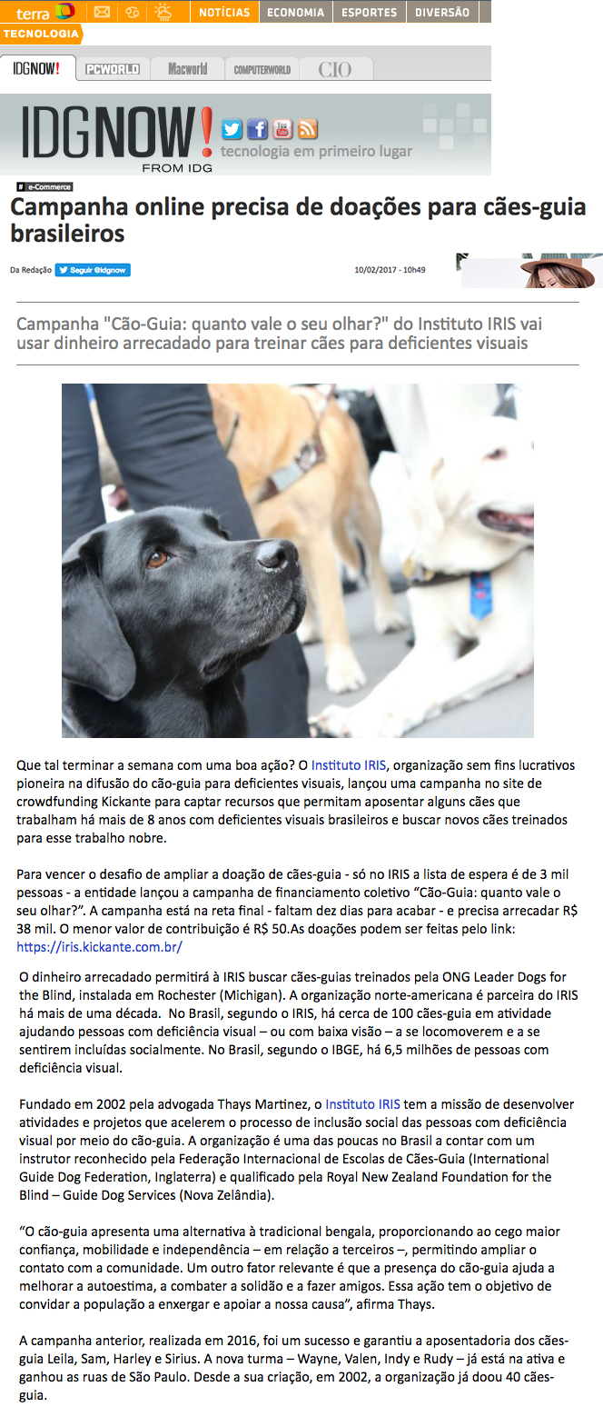 Imagem 2017 - Campanha online precisa de doações para cães-guia brasileiros